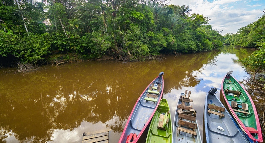 Visiter La Réserve De Cuyabeno En Amazonie