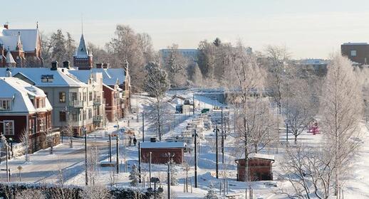 Umeå