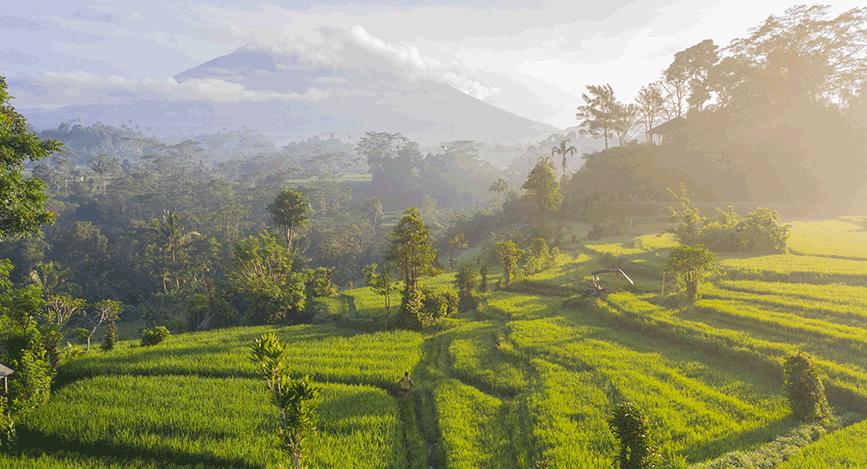  Ascension  du mont  Agung   Bali  en Indon sie