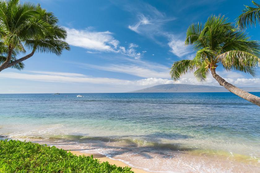 Visiter Plage De Sisal